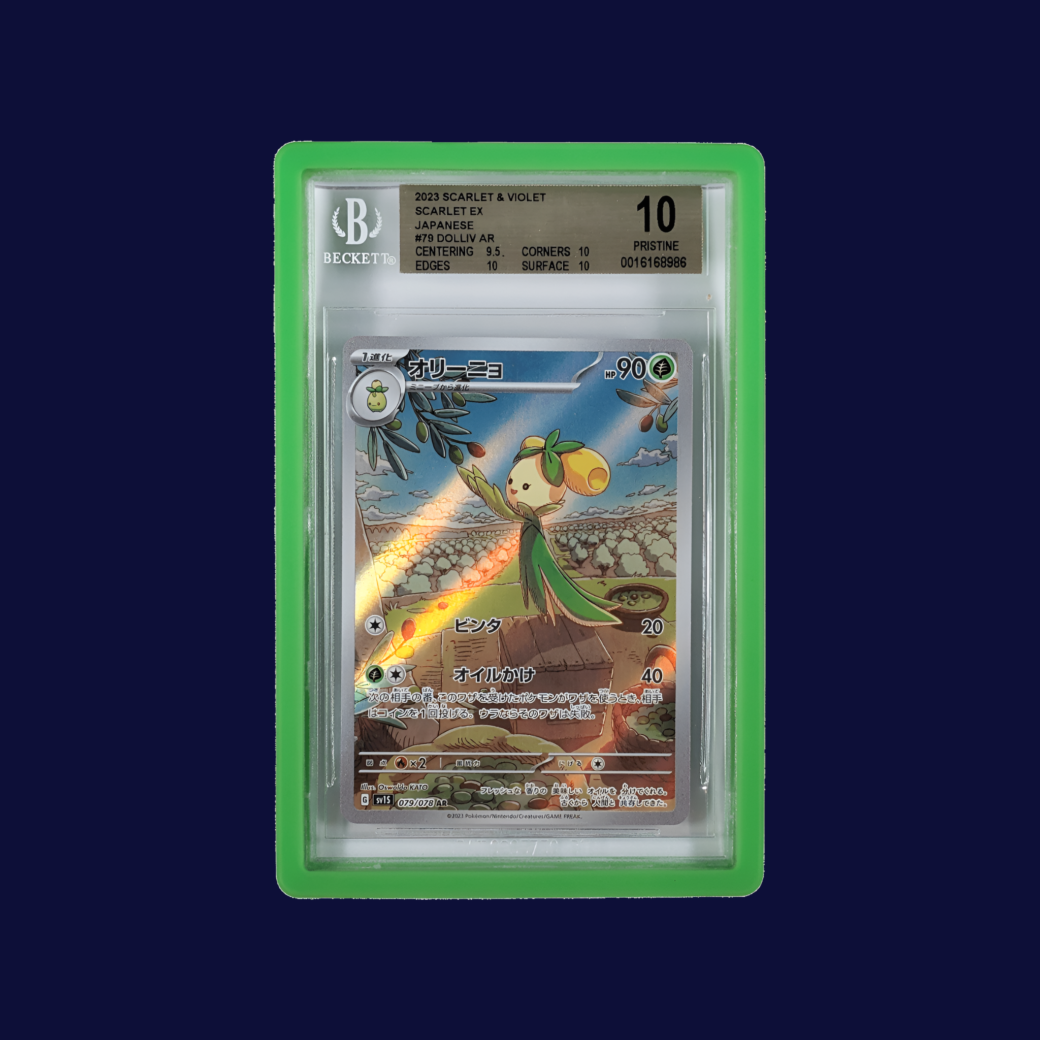 Hobby Defense BGS Slab Bumper